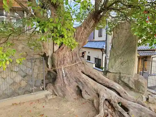 五宮神社の自然