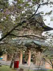 西福寺(福井県)