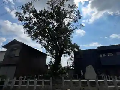 手力雄神社(岐阜県)