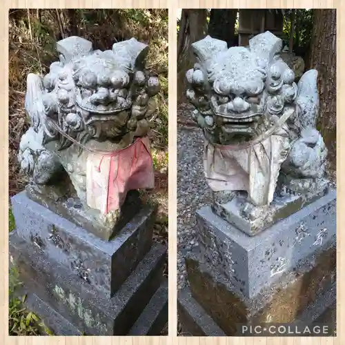 朝倉神社の狛犬