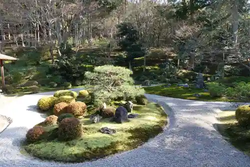 曼殊院門跡の庭園