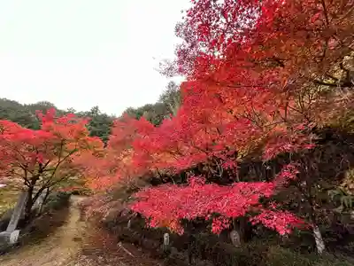 苗秀寺(京都府)