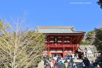 鶴岡八幡宮の本殿・本堂