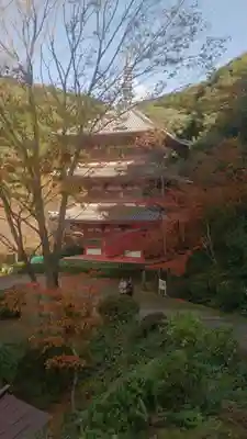 清水寺の塔