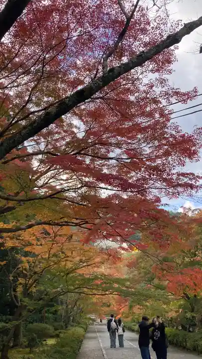 二尊院(京都府)