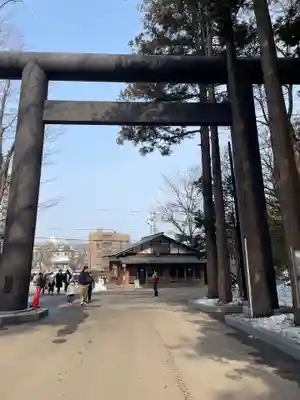 北海道神宮の鳥居