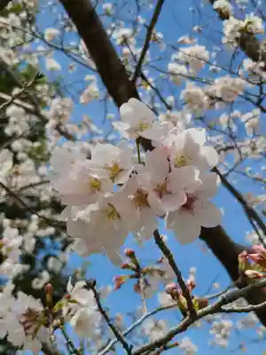 牛嶋天満宮(佐賀県)