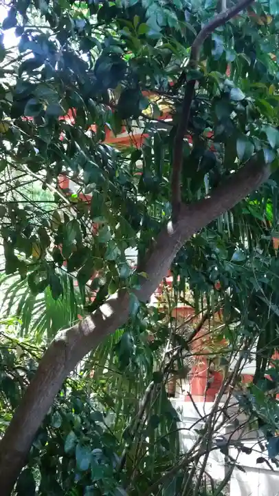 芝東照宮(東京都)