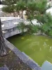 感田神社の庭園