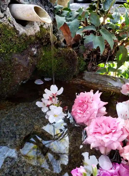 本郷氷川神社(東京都)