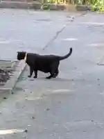 鳥越八幡神社(山形県)