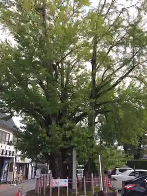 津島神社(愛知県)