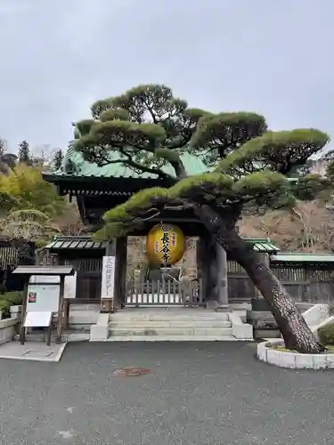 長谷寺の山門