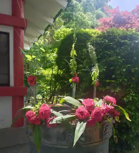 元町厳島神社(神奈川県)