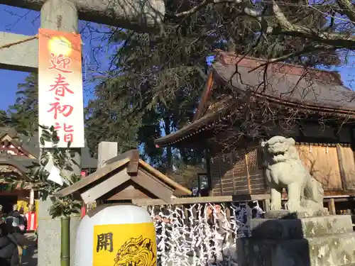 大前神社の狛犬