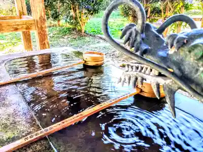 高月院の手水舎