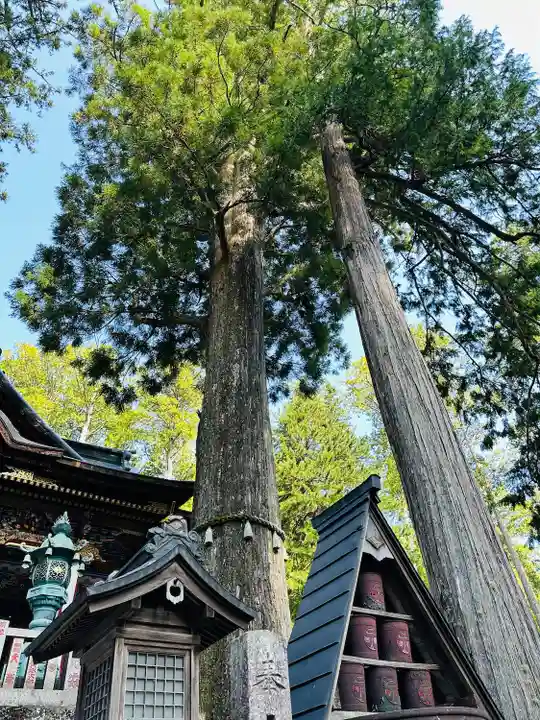 三峯神社(埼玉県)