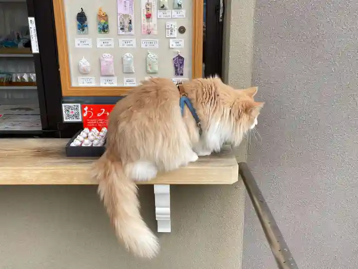 駒込妙義神社の御朱印
