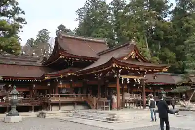 多賀大社の本殿・本堂