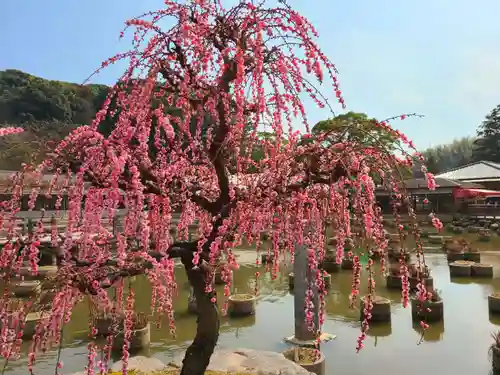 太宰府天満宮の庭園