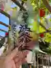 温泉神社〜いわき湯本温泉〜の御朱印