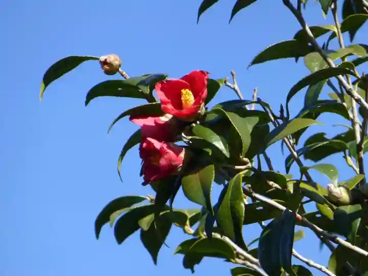 中領八幡宮(山口県)