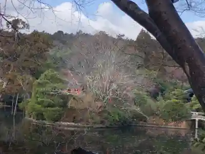 龍安寺(京都府)