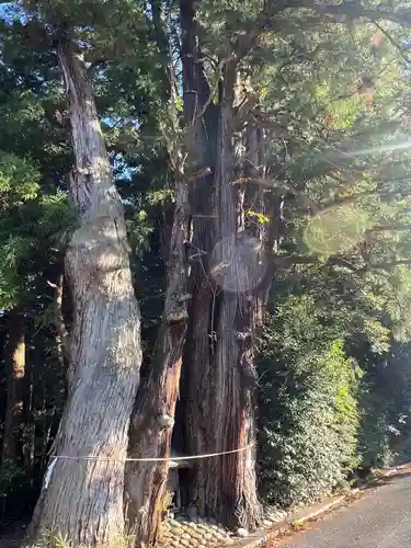 萩日吉神社(埼玉県)