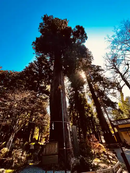 河口浅間神社(山梨県)