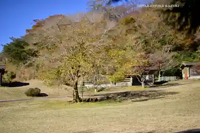 九頭龍神社本宮(神奈川県)