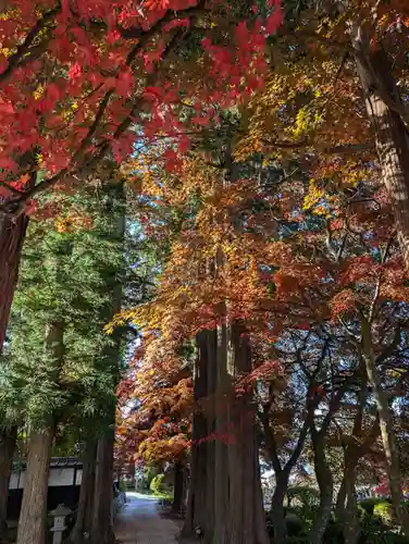 長圓寺(長野県)