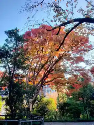乃木神社(東京都)