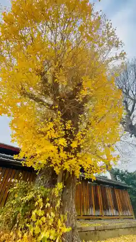 宇賀神社(京都府)