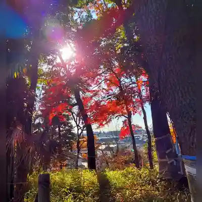 深大寺(東京都)