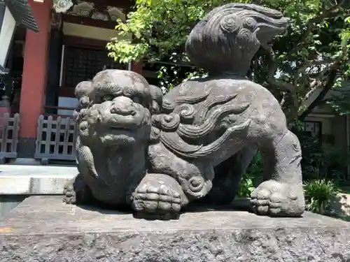 千住本氷川神社の狛犬