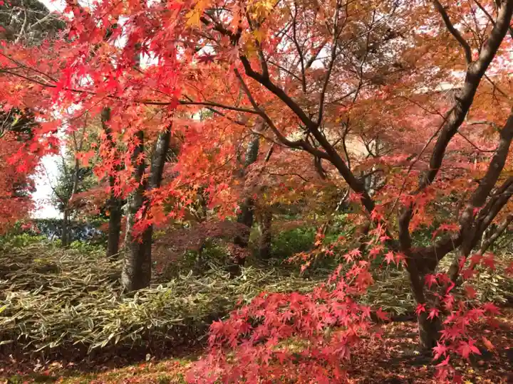 将軍塚青龍殿(青蓮院門跡)(京都府)