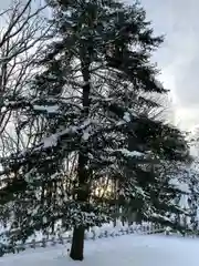 砂川神社(北海道)