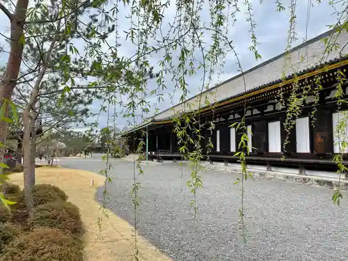 蓮華王院（三十三間堂）のその他建物