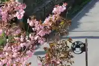 国宝 大法寺(長野県)