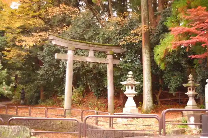 天津神社(新潟県)