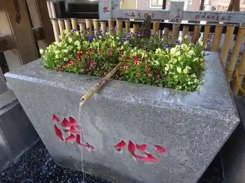 高円寺氷川神社の手水