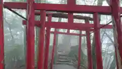 温泉神社の鳥居