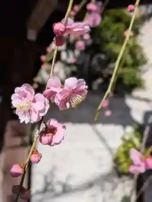 長円寺(東京都)