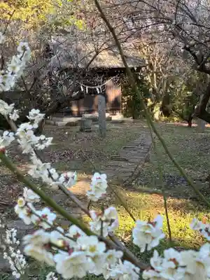 雲井宮郷造神社(茨城県)