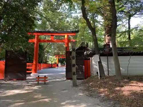 河合神社（鴨川合坐小社宅神社）の鳥居