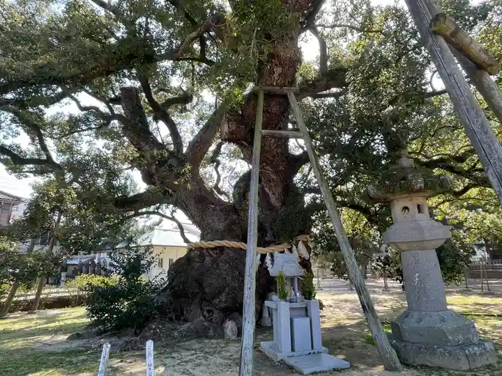 善通寺(香川県)