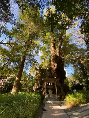 來宮神社の自然