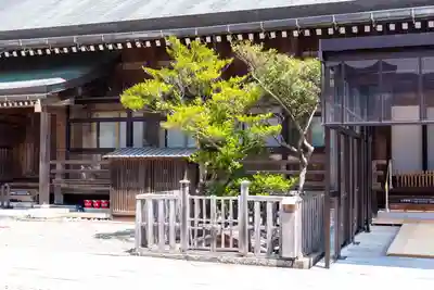 出雲大社(島根県)
