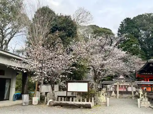 積川神社(大阪府)