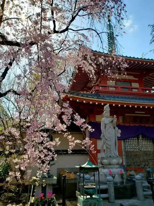 新井薬師(梅照院)の本殿・本堂